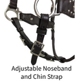 Cargar la imagen en la vista de la galería, CROSS CONCHO HALTER WITH SPOTS AND ADJUSTABLE NOSE AND CHIN STRAPS -USA LEATHER
