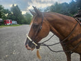 Cargar la imagen en la vista de la galería, Tahoe 5/8" Natural Rawhide Braided Bosal with Rawhide Core & Leather Hanger Versatile Horse Training Gear with Classic Design & Comfortable Fit Brown / Tan
