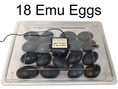Load image into Gallery viewer, Rite Farm Products PRO Hatcher Incubator for Egg Tray Transfer from Cabinet Incubators
