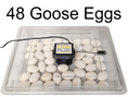 Load image into Gallery viewer, Rite Farm Products PRO Hatcher Incubator for Egg Tray Transfer from Cabinet Incubators
