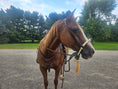 Cargar la imagen en la vista de la galería, Tahoe 5/8" Natural Rawhide Braided Bosal with Rawhide Core & Leather Hanger Versatile Horse Training Gear with Classic Design & Comfortable Fit Brown / Tan

