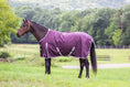 Cargar la imagen en la vista de la galería, Gatsby Shield 1200D Waterproof Turnout Sheet
