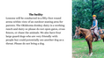 Load image into Gallery viewer, Riding Lessons
