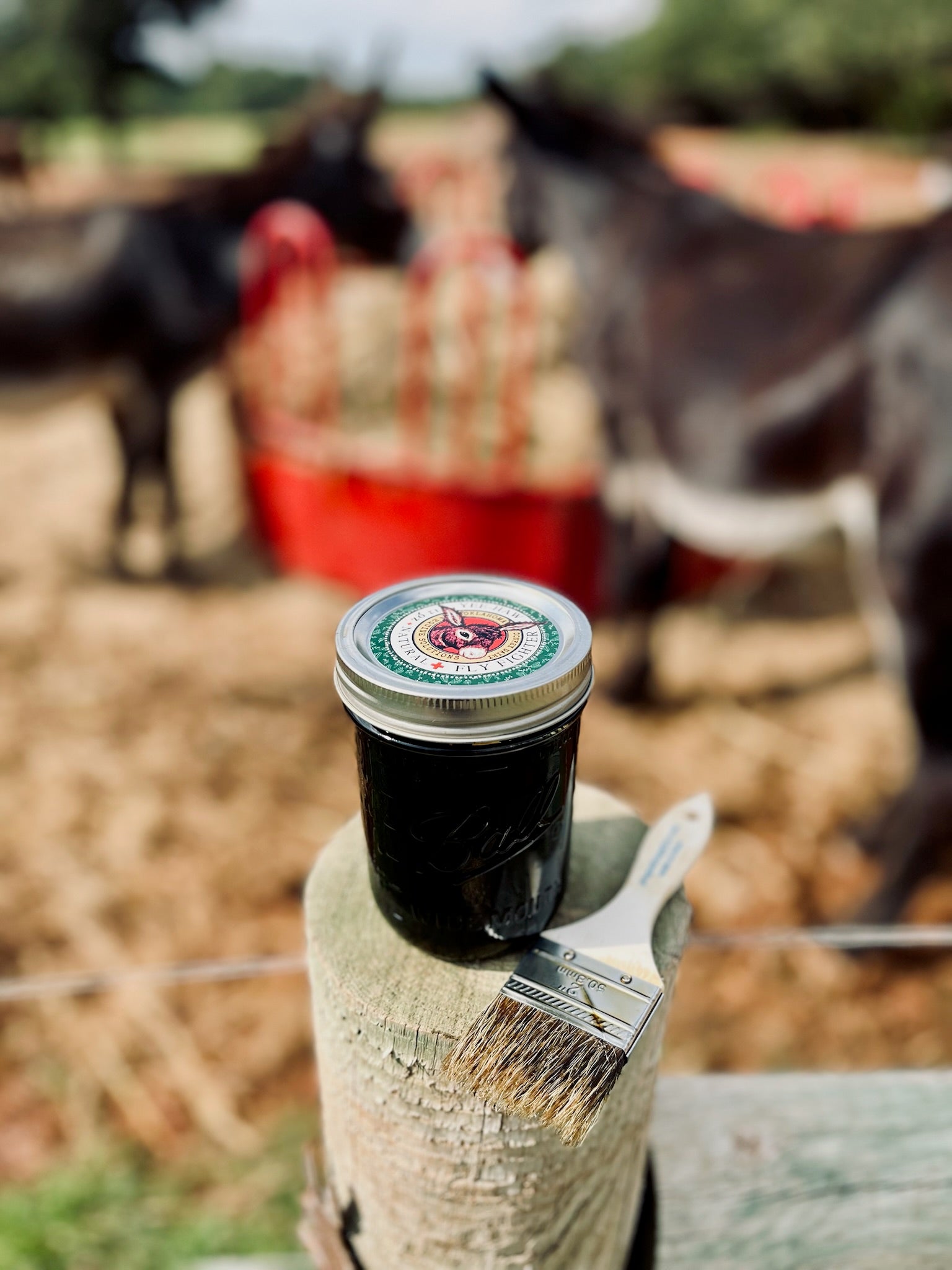 Back in Stock! All Natural Fly Repellent for Donkeys, Horses, Mules, Hinnies and Farm Animals 13 oz
