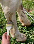 Load image into Gallery viewer, Back in Stock! All Natural Fly Repellent for Donkeys, Horses, Mules, Hinnies and Farm Animals 13 oz
