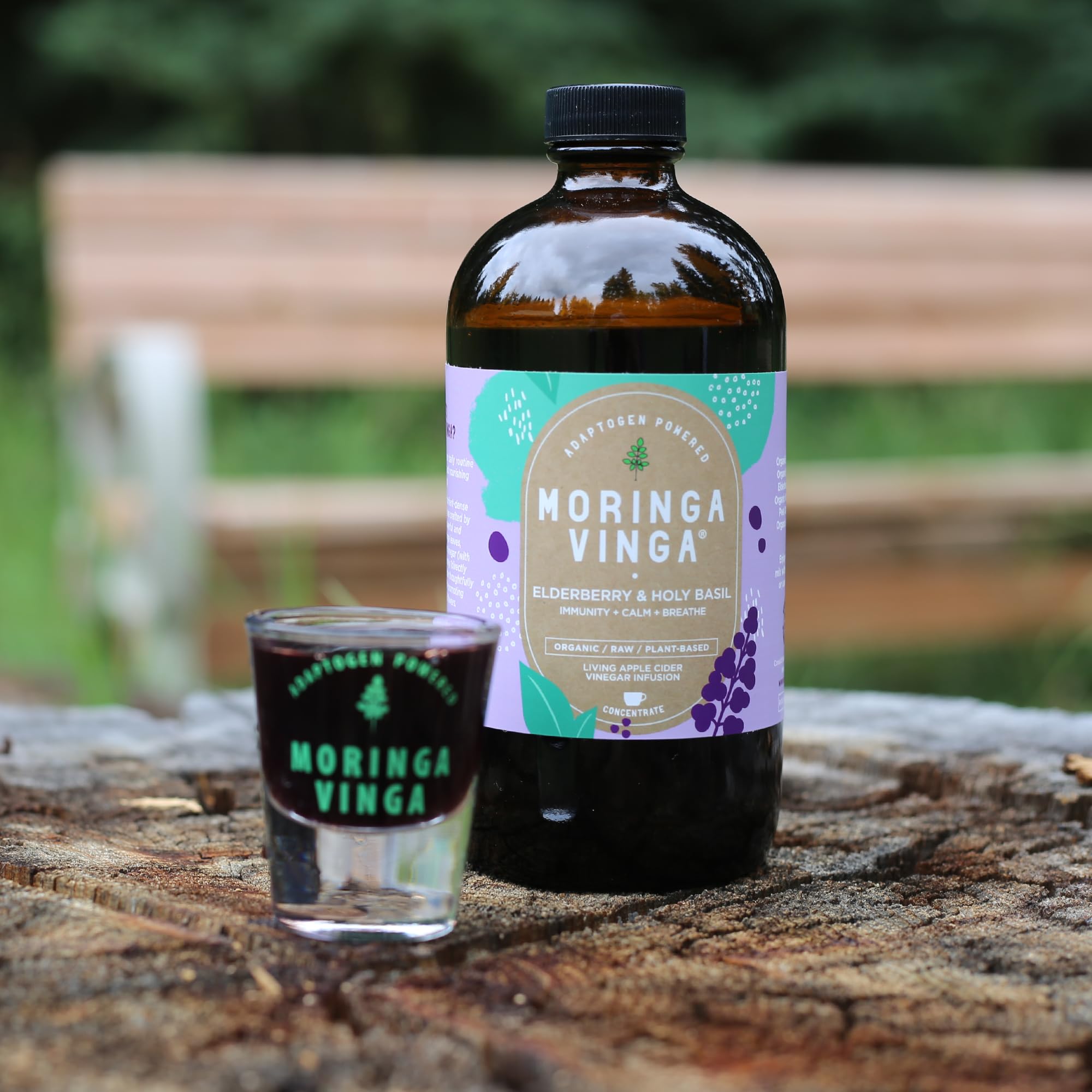 Organic Spearmint & Rosemary Moringa Infusion – Daily Herbal Tonic with Apple Cider Vinegar, Honey | Supports Mental Clarity & Circulation | Non-GMO, 16 oz