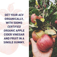 Cargar la imagen en la vista de la galería, Garden of Life Organics Apple Cider Vinegar Gummies with Vitamin B12 – Organic ACV Gummy Vitamins, Vegan, Gluten-Free, Non-GMO, 60 Gummies
