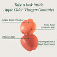 Cargar la imagen en la vista de la galería, Primal Harvest ACV Gummies, 60 Sugar Free Apple Cider Gummies Beetroot and Pomegranate to Support Immunity, Digestion and Detox 750 MG
