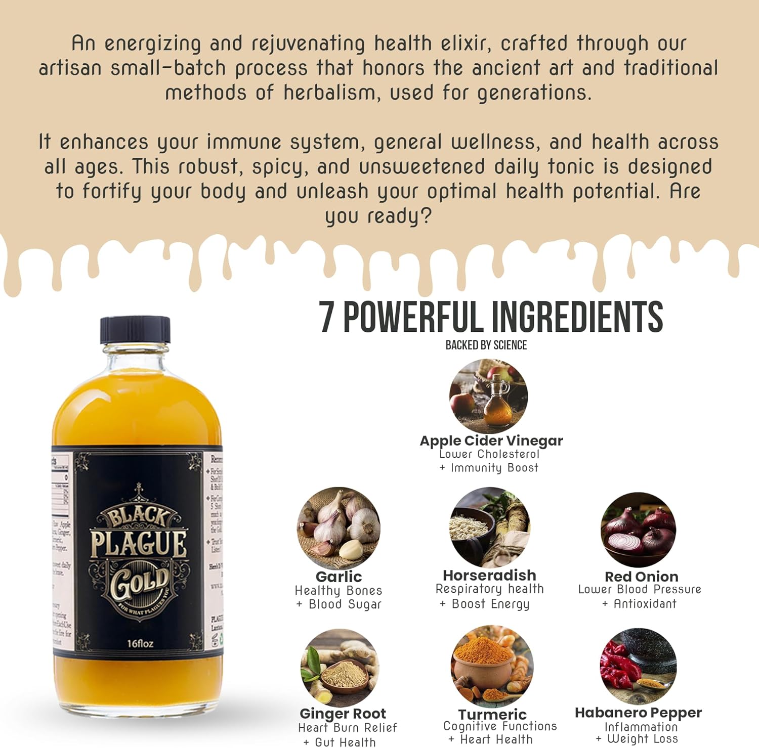 Black Plague Gold Fire Cider - 16oz All-Natural Elixir for Immunity, Gut Health & Wellness: Handcrafted, Small Batch, Herbal Apple Cider Vinegar, Whole, Raw & Sugar-Free - Unleash Your Optimal Health