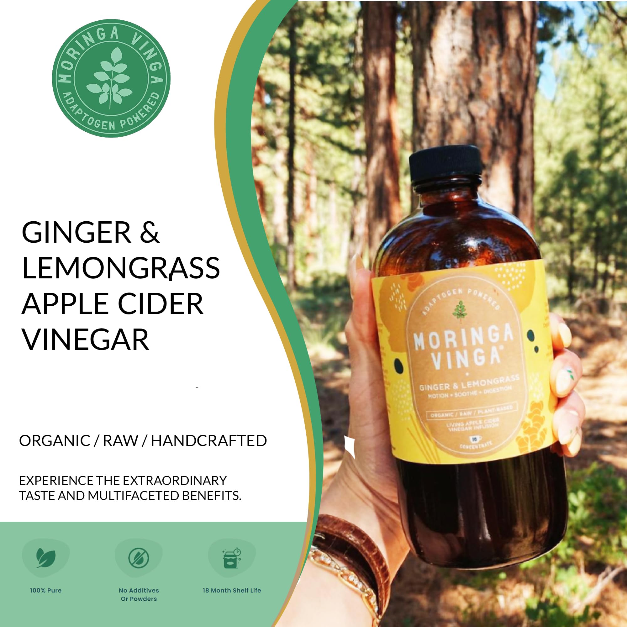 Organic Spearmint & Rosemary Moringa Infusion – Daily Herbal Tonic with Apple Cider Vinegar, Honey | Supports Mental Clarity & Circulation | Non-GMO, 16 oz