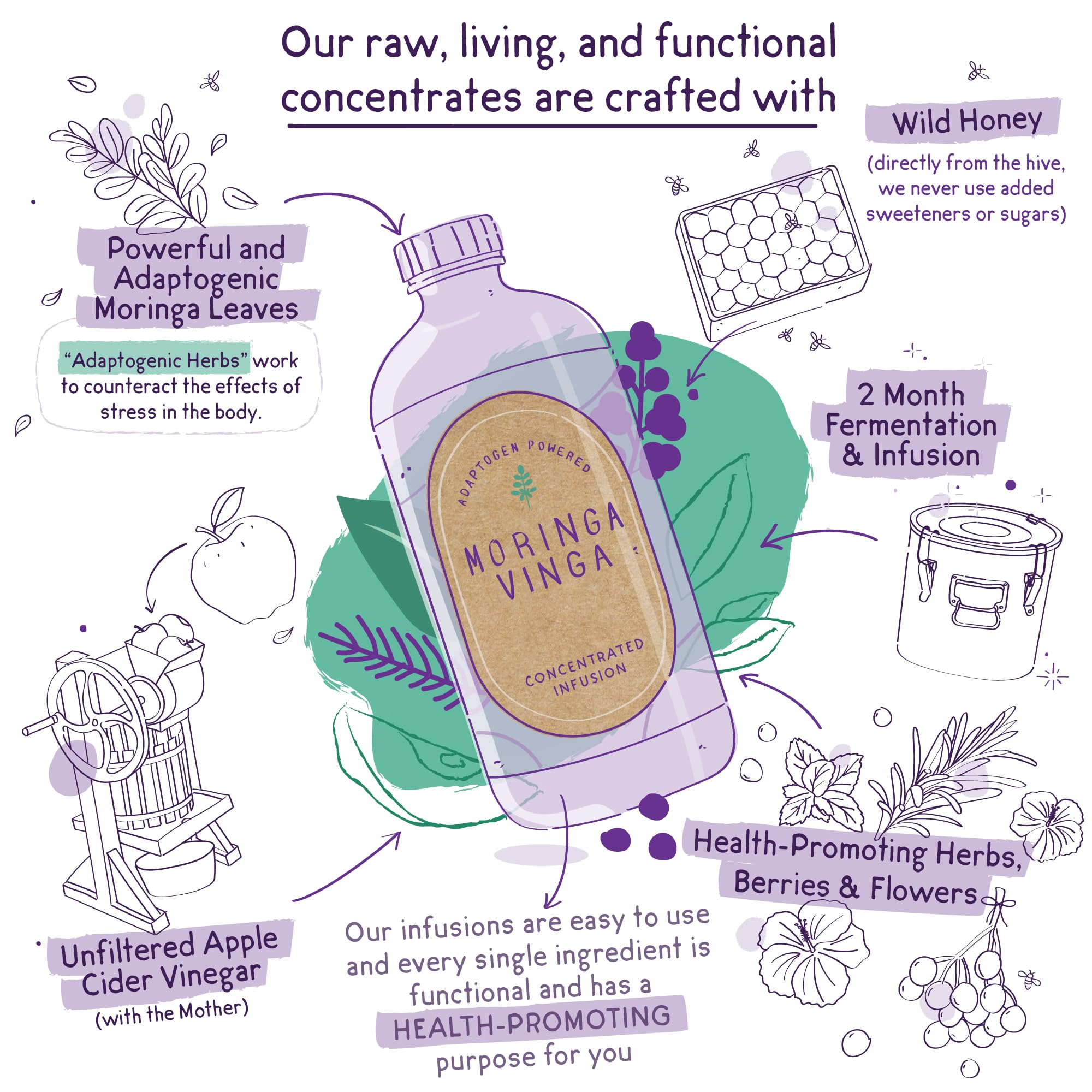 Organic Spearmint & Rosemary Moringa Infusion – Daily Herbal Tonic with Apple Cider Vinegar, Honey | Supports Mental Clarity & Circulation | Non-GMO, 16 oz