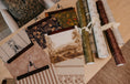 Cargar la imagen en la vista de la galería, Roselle Stripe Wallpaper by Safari Natalia x Taddy Mikelaites
