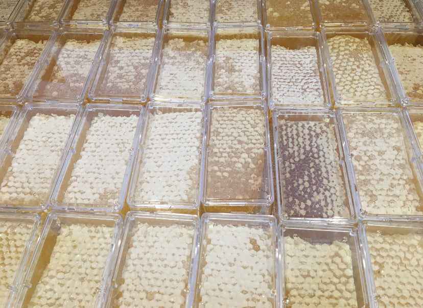 Indiana Honeycomb