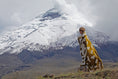 Load image into Gallery viewer, Sierra Throw Blanket: Khaki Alpaca Wool & Acrylic 89" x 79"
