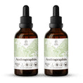 Cargar la imagen en la vista de la galería, Andrographis Tincture
