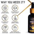 Load image into Gallery viewer, Authentic Himalayan Shilajit® Drops
