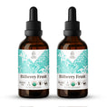 Load image into Gallery viewer, Bilberry Fruit Tincture
