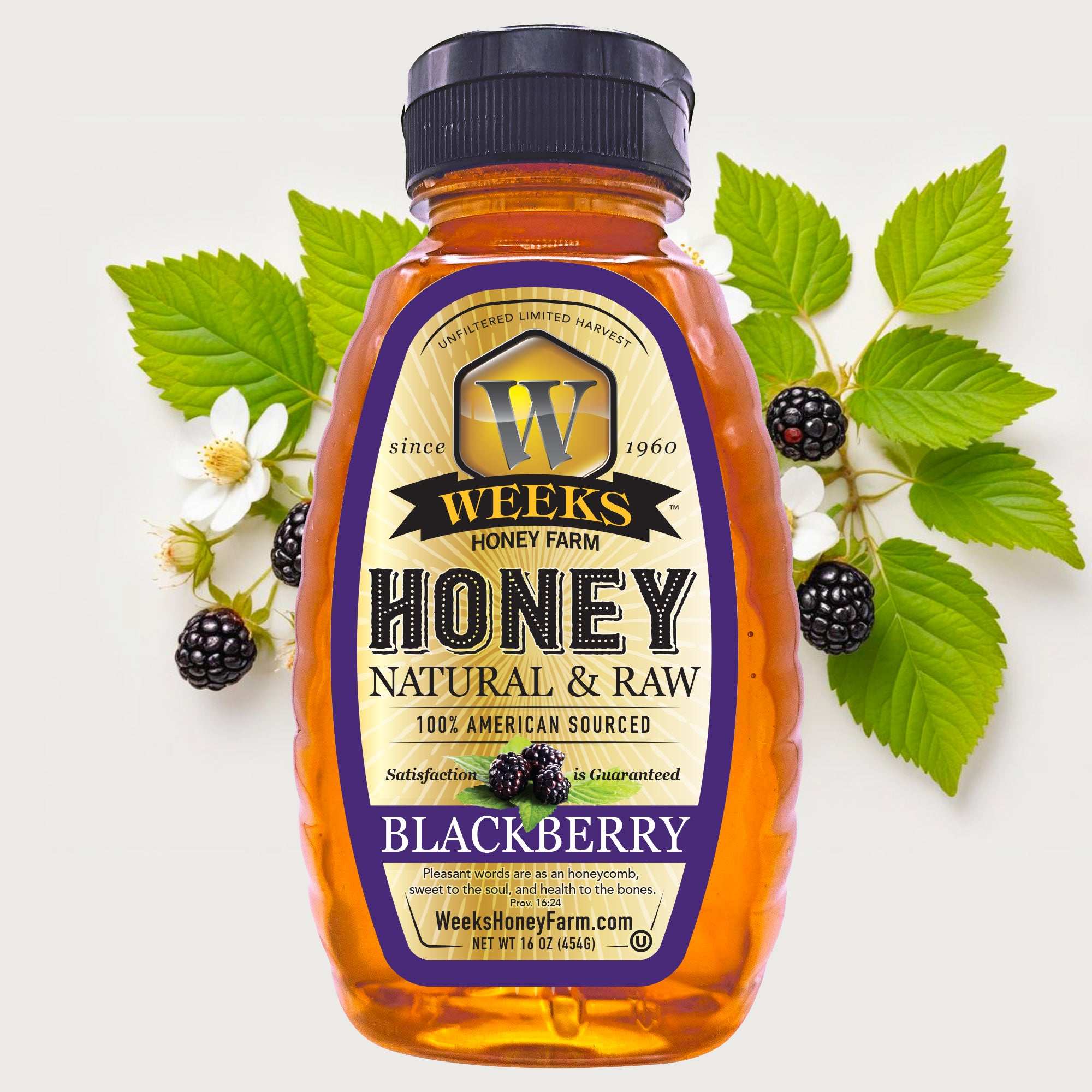 Mono-Floral Honey Trio – Blackberry, Orange Blossom & Tupelo (3 x 16 oz)