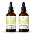 Load image into Gallery viewer, Bloodroot Tincture
