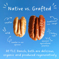Cargar la imagen en la vista de la galería, Organic Pecans
