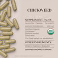 Load image into Gallery viewer, Chickweed Capsules
