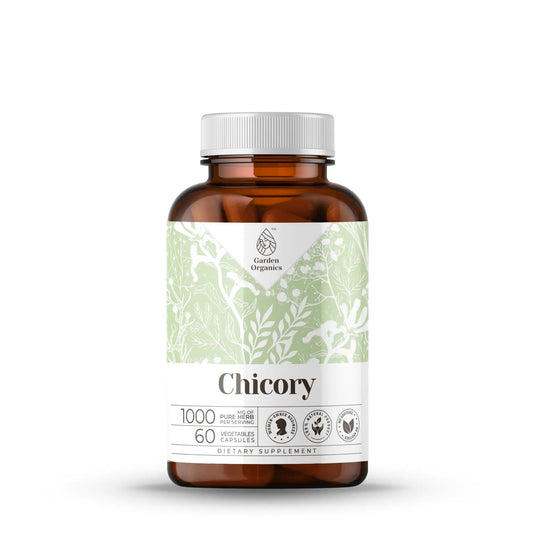 Chicory Capsules