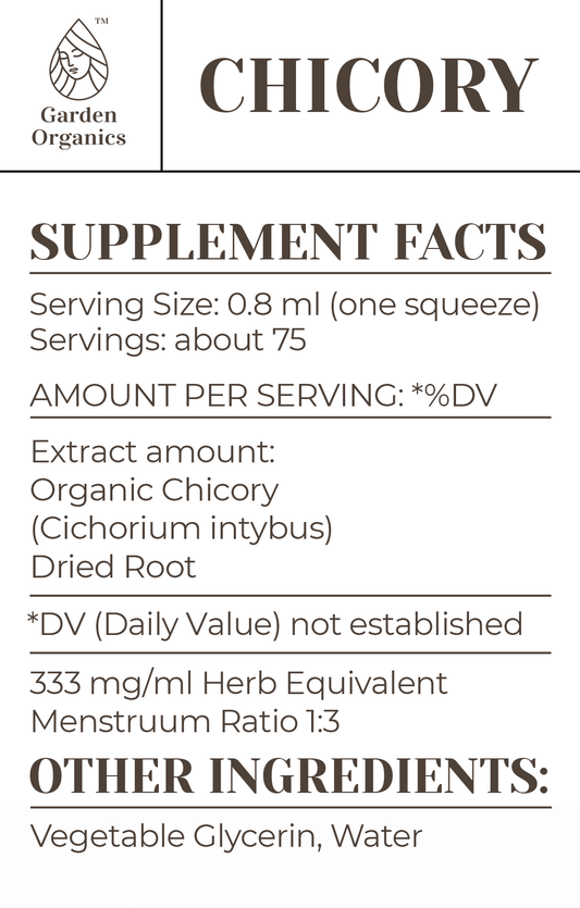 Chicory Tincture