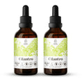 Load image into Gallery viewer, Cilantro Tincture
