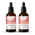 Load image into Gallery viewer, Cinchona Tincture
