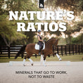 Load image into Gallery viewer, Daily Red® Crushed™ Garlic - Mineral Supplement for Horses
