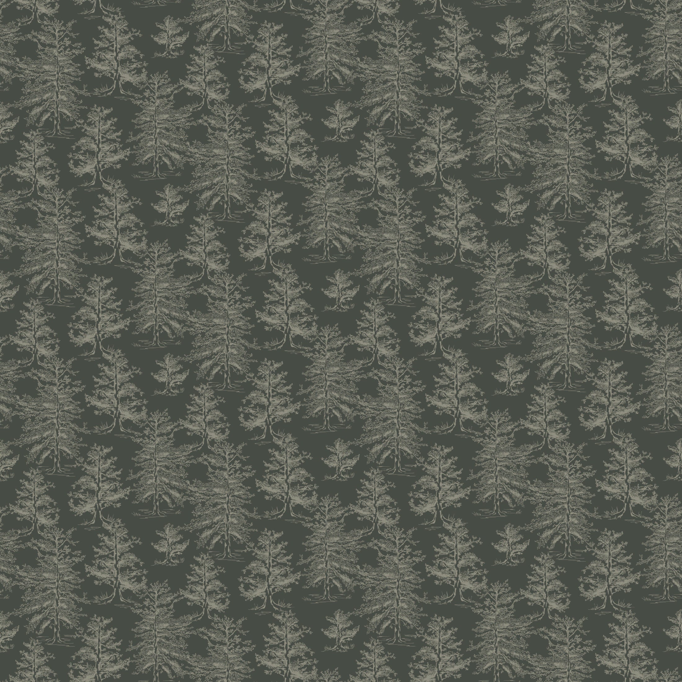 Dakota Wallpaper by Aubrey Fairchild