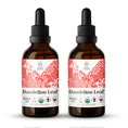 Load image into Gallery viewer, Dandelion Leaf Tincture
