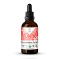 Load image into Gallery viewer, Dandelion Leaf Tincture
