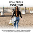 Load image into Gallery viewer, Daily Gold® Paste - Digestive Stress Relief for Horses
