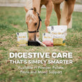 Cargar la imagen en la vista de la galería, Daily Gold® - Horse Gut Supplements
