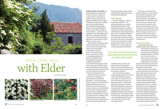 Mother Earth Living — Grow, Cook, & Heal with Herbs