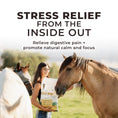 Cargar la imagen en la vista de la galería, Daily Gold® - Horse Gut Supplements

