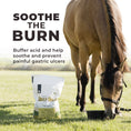 Cargar la imagen en la vista de la galería, Daily Gold® - Horse Gut Supplements
