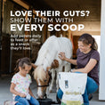 Cargar la imagen en la vista de la galería, Daily Gold® - Horse Gut Supplements
