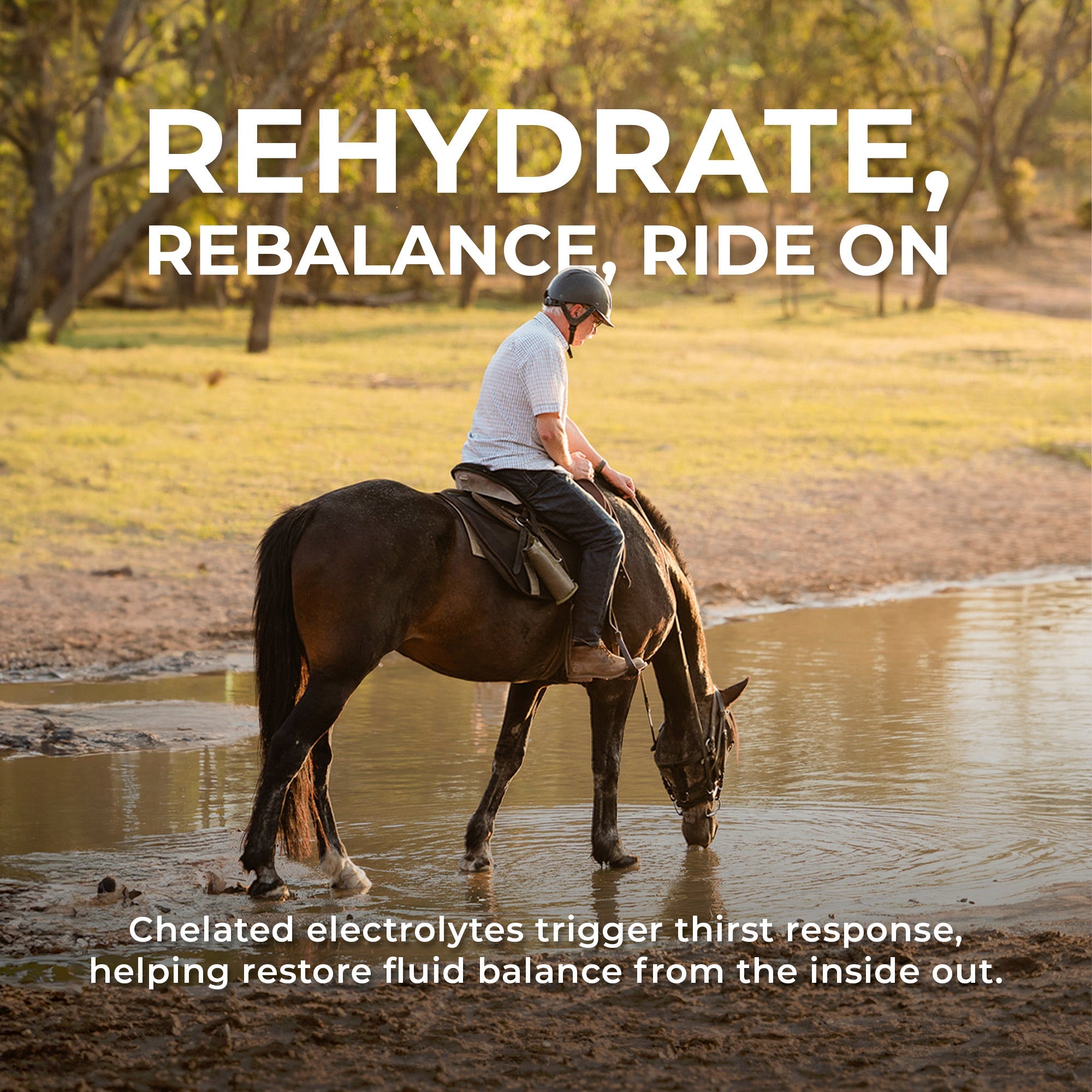IsoBalance - Horse Electrolyte Paste