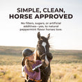 Cargar la imagen en la vista de la galería, IsoBalance - Horse Electrolyte Paste
