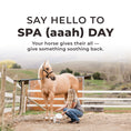 Cargar la imagen en la vista de la galería, Simply Clay® Horse Poultice
