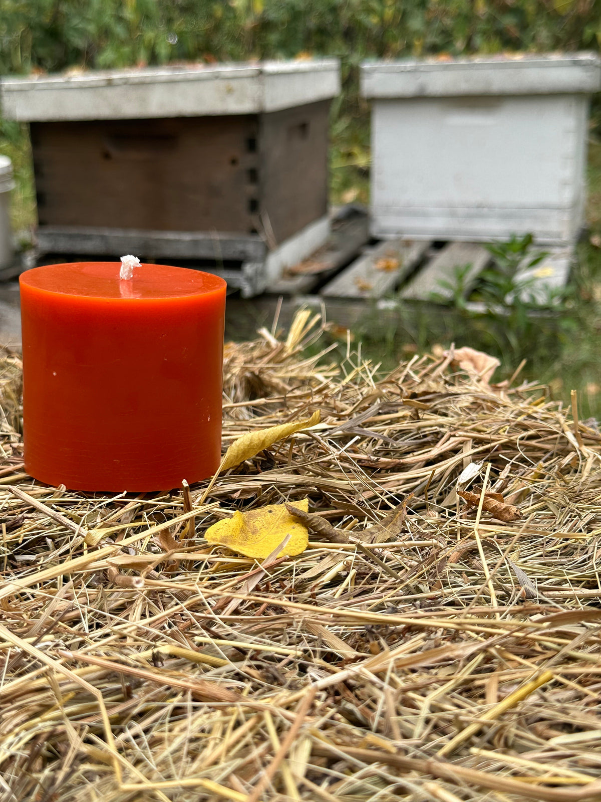 Indiana Beeswax Pillar Candle