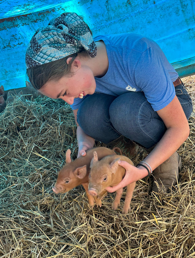 Forested Pork: Heritage Breed Tamworth Pigs Born and Raised on our Farm