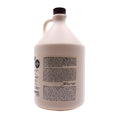 Load image into Gallery viewer, Wood-Fired Maple Syrup Case of Gallons (4/case)   FREE SHIPPING!
