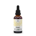Cargar la imagen en la vista de la galería, Ginger Tincture
