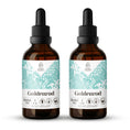 Cargar la imagen en la vista de la galería, Goldenrod Tincture
