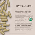 Cargar la imagen en la vista de la galería, Hydrangea Capsules
