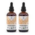 Cargar la imagen en la vista de la galería, Hydrangea Tincture
