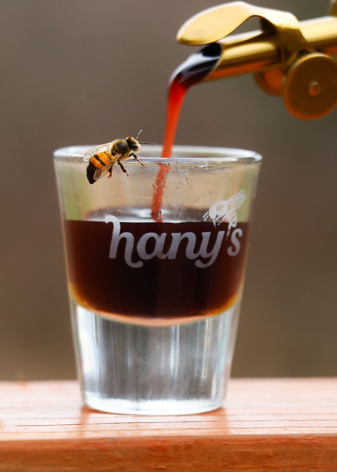 Elderberry Herbal Syrup